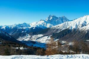 bellissimo scenografico Visualizza di Caucaso montagna. il modo per montagna con pino foresta coperto con neve nel inverno stagione a mestia Georgia foto