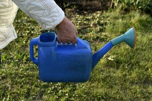 irrigazione impianti nel il giardino con un' irrigazione può con acqua. irrigazione impianti di un' pensionato nel il giardino. foto