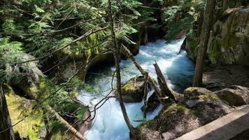 affrettandosi acqua attraverso il foresta nel ghiacciaio nazionale parco. foto