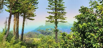 arcobaleno nebbia su il hawaiano costa foto