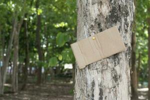 albero tronco quale ha vuoto cartone appiccicato su il abbaio, concetto per ambiente studia, natura studia, chiamata su tutti persone per rispetto ambiente e aderire mondo ambiente giorno campagna. foto