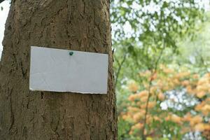 albero tronco quale ha vuoto cartone appiccicato su il abbaio, concetto per ambiente studia, natura studia, chiamata su tutti persone per rispetto ambiente e aderire mondo ambiente giorno campagna. foto