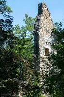 rovine di il castello nel il paesaggio foto