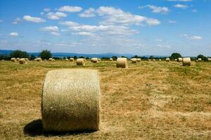 fieno balle nel il campo foto