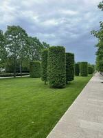 città parco, rifilato alberi e erba, a piedi la zona foto