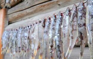 salato pesce, secco pesce si asciuga nel il sole, birra aperitivo, secco pesce foto