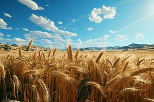 un' pittoresco agricolo azienda agricola svela un' d'oro cereale campo, brulicante con Grano ai generato foto