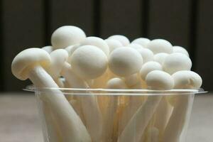 bianca faggio funghi, shimeji fungo, commestibile fungo su il di legno tavolo foto