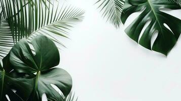 tropicale le foglie Monstera e palma su bianca sfondo generato ai foto