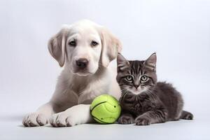 cane e gatto con verde palle su bianca sfondo generato ai foto