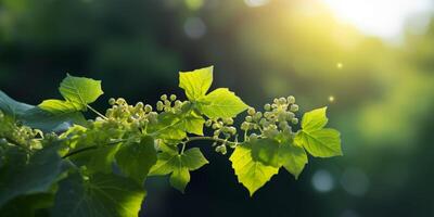 edera fiore casa giardino decorazione, copia spazio sfocato sfondo, ai generato foto