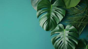 tropicale le foglie Monstera su blu sfondo generato ai foto