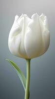 bianca tulipano fiore maco sfondo sfondo. ai generato foto