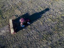 diretto semina, agricolo macchinari, nel la pampa, patagonia, argentina foto