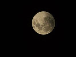 sangue Luna, eclisse visto da, la pampa, gennaio 21, 2019 argentina foto