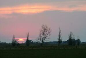 mulino a vento nel pampa tramonto paesaggio, la pampa, argentina foto