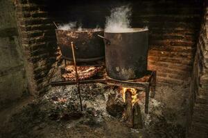 maiale costole barbecue , patagonia, argentina foto