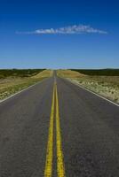 strada nel il pampa pianura, la pampa Provincia, patagonia, argentina foto