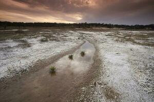 salnitro su il pavimento di un' laguna nel un' semi deserto ambiente, la pampa Provincia, patagonia, argentina. foto