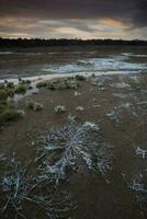 salnitro su il pavimento di un' laguna nel un' semi deserto ambiente, la pampa Provincia, patagonia, argentina. foto