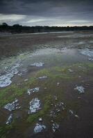 salnitro su il pavimento di un' laguna nel un' semi deserto ambiente, la pampa Provincia, patagonia, argentina. foto