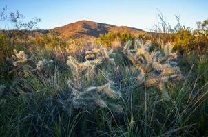 lihue calel nazionale parco sierra paesaggio, la pampa, argentina foto