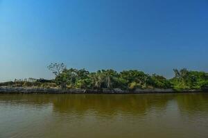 pantanal foresta ecosistema, mamato grosso, brasile foto