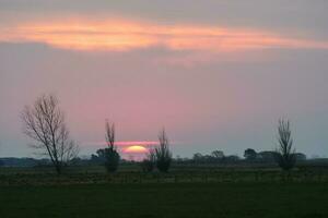 mulino a vento nel pampa tramonto paesaggio, la pampa, argentina foto