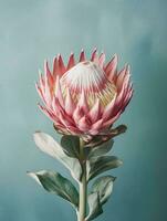 rosa protea fiore copia spazio sfondo. ai generato foto