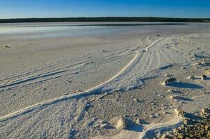 sale laguna nel pampa paesaggio, la pampa Provincia, patagonia, argentina foto