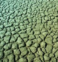 rotto suolo nel pampa ambiente , patagonia, argentina. foto