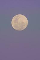 Alba lunare , pieno Luna nel il cielo, patagonia, argentina foto
