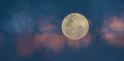 Luna nel il notte cielo , sfondo foto