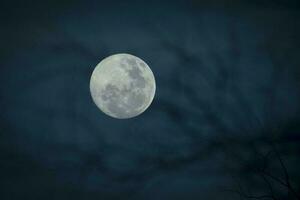 Luna nel il notte cielo , sfondo foto