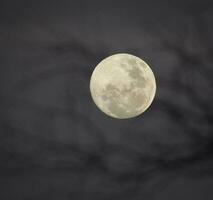 Luna nel il notte cielo , sfondo foto