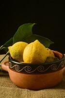 biologico limoni, raccolto a partire dal il giardino, preparato su il tavolo. foto