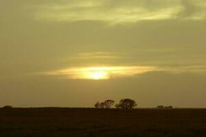 pampa tramonto paesaggio, la pampa, argentina foto