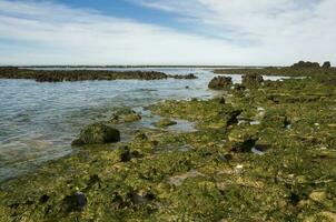 pietra bassofondo a Basso marea, penisola Valdes, patagonia, argentina foto