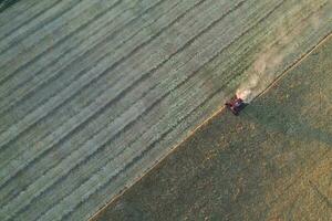 orzo raccogliere aereo Visualizza, nel la pampa, argentina. foto