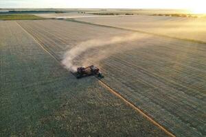 orzo raccogliere aereo Visualizza, nel la pampa, argentina. foto