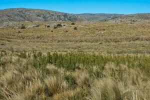 quebrada del condorito nazionale parco, cordova Provincia, argentina foto