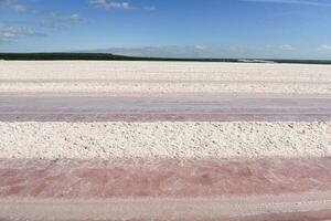 salato laguna preparato per estratto crudo sale, estrazione industria nel argentina foto