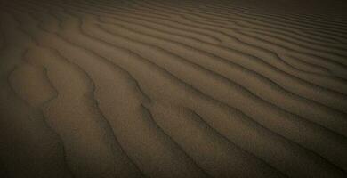 duna paesaggio, la pampa , argentina foto