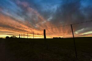 paesaggio con mulino a vento a tramonto, pampa, Patagonia, Argentina foto