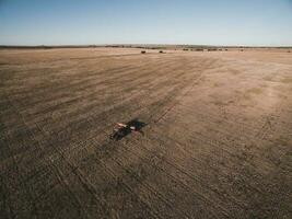 trattore e seminatrice, diretto semina nel il pampa, argentina foto