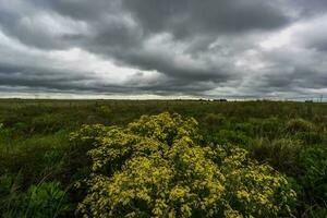 rurale paesaggio tempestoso, buenos arie Provincia , argentina foto