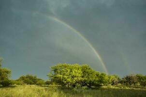 foresta paesaggio, con arcobaleno, pampa, argentina foto