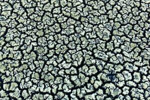 Cracked asciutto suolo, patagonia, argentina foto