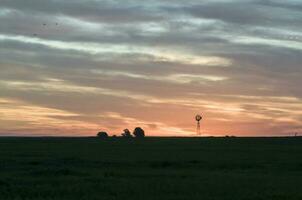 mulino a vento nel campagna a tramonto, pampa, Patagonia, Argentina. foto