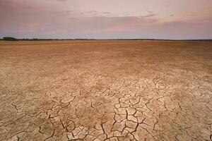 Cracked terra, desertificazione processi, la pampa Provincia, patagonia, argentina. foto